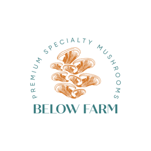 BELOW FARM